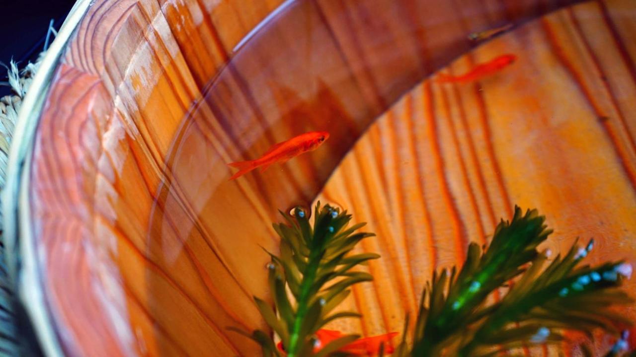 Kyoto Classical House -Murasakian - Esterno foto